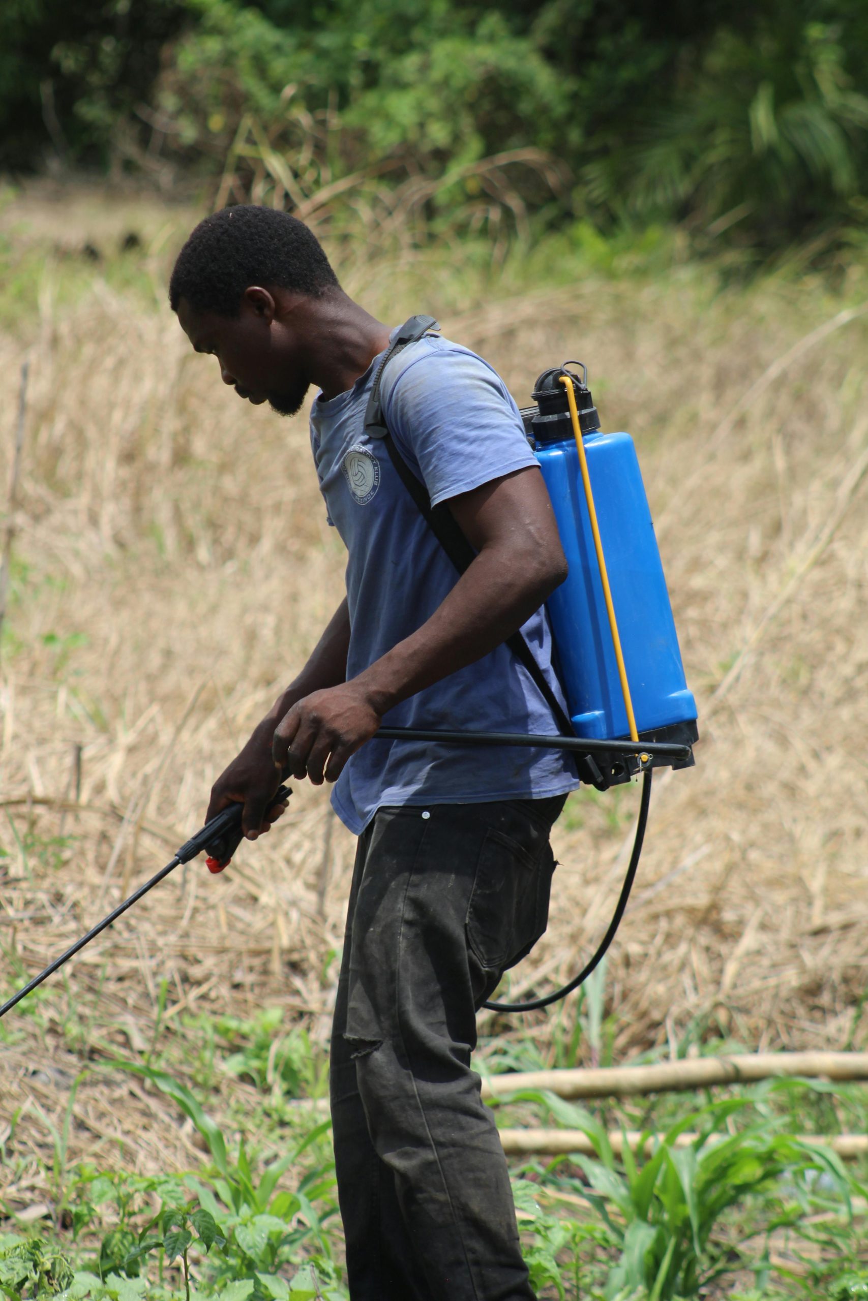 Calcul du dosage Roundup pour 5 litres d'eau